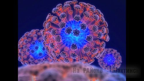 Вирусы живут внутри нас 