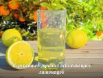 16 рецептов освежающих лимонадов 