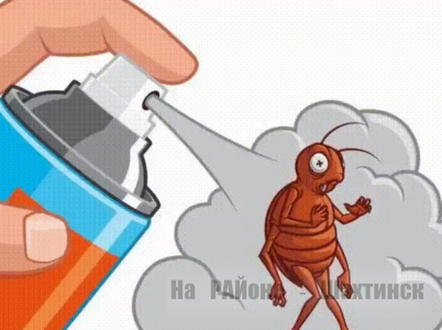Как бороться с бытовыми насекомыми