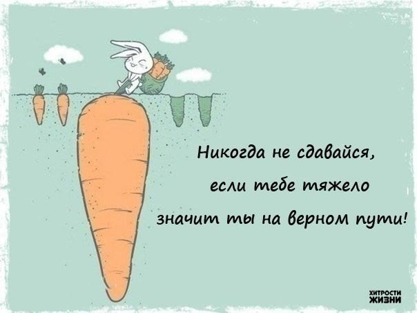 Никогда не рисовала